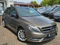 Mercedes-Benz B 250 /Bi-Xenon/PANO/AUTOMATIK/LEDER/ASYSST-PLUS Grau - thumbnail 8