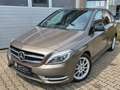 Mercedes-Benz B 250 /Bi-Xenon/PANO/AUTOMATIK/LEDER/ASYSST-PLUS Grau - thumbnail 2