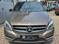 Mercedes-Benz B 250 /Bi-Xenon/PANO/AUTOMATIK/LEDER/ASYSST-PLUS Grau - thumbnail 9