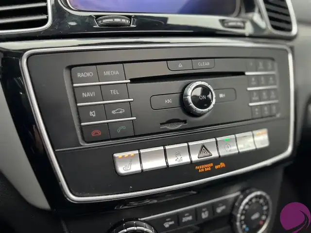 Mercedes-Benz Gle view 18