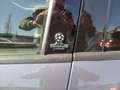 Ford Focus Turnier Champions Edition Grau - thumbnail 6