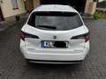 Suzuki Swace Swace 1.8 Hybrid CVT Comfort+ White - thumbnail 2