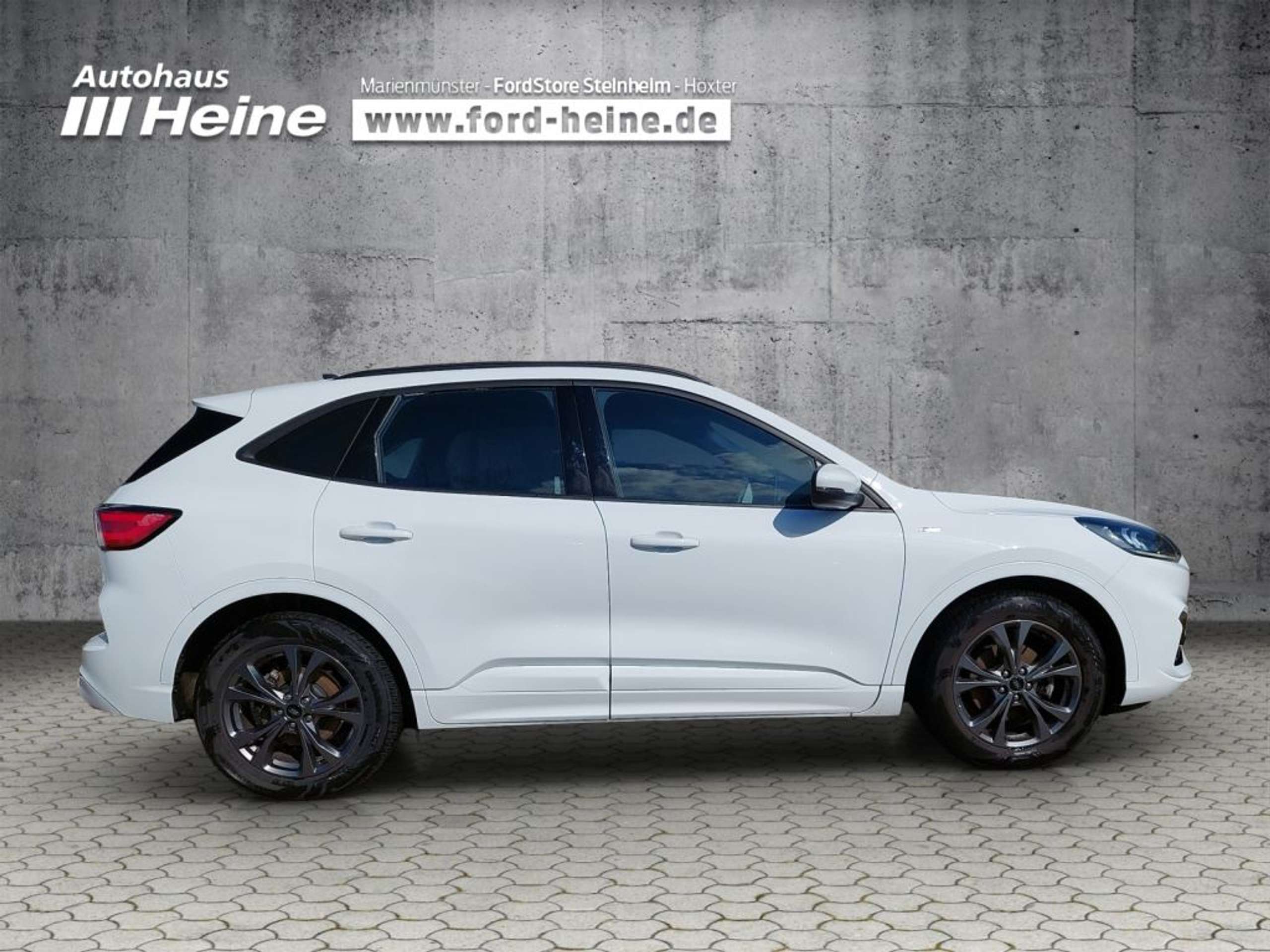 Fahrzeugabbildung Ford Kuga 2.0 EcoBlue Hybrid ST-LINE - mit KI generiert/bearbeitet