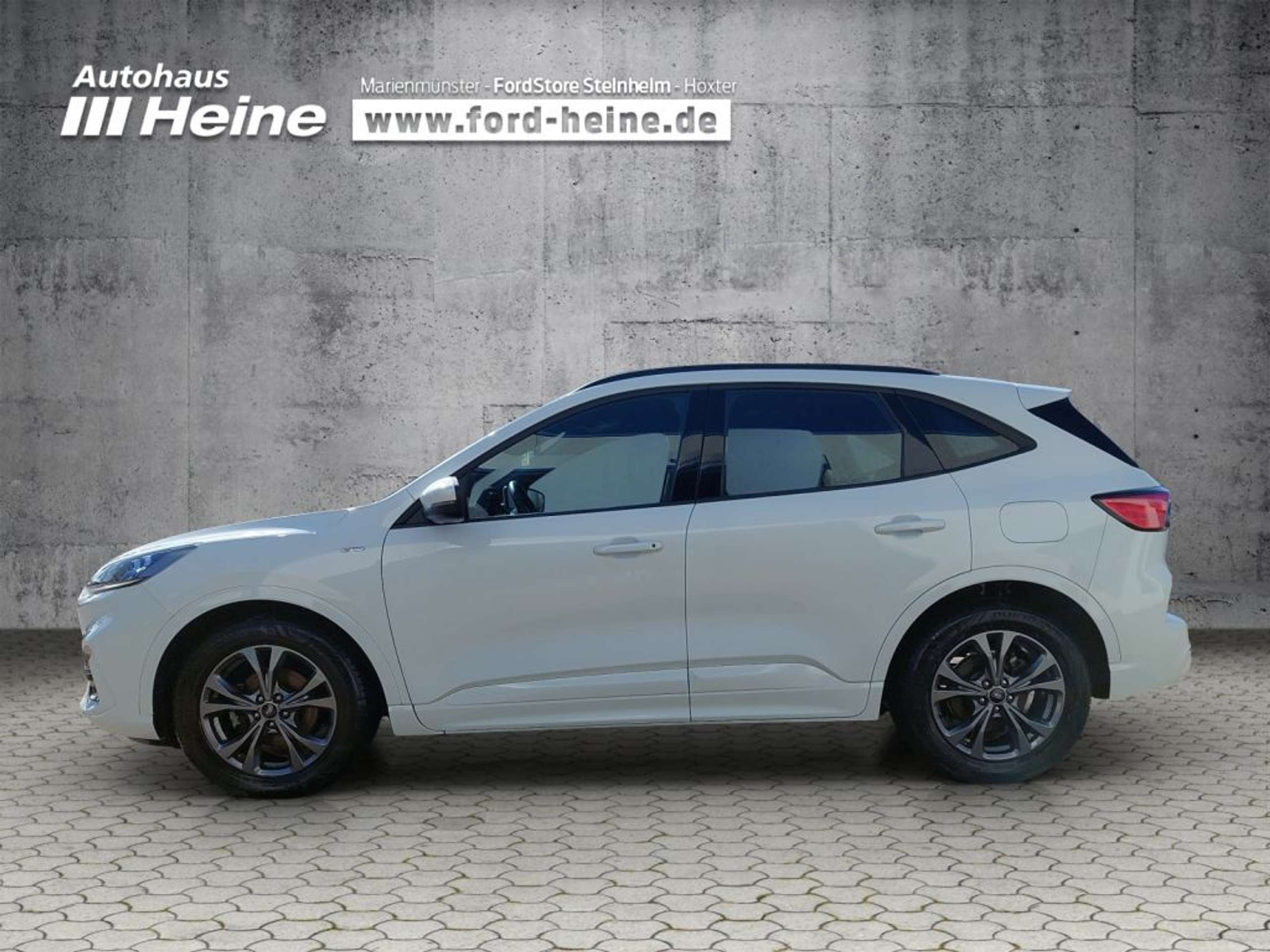Fahrzeugabbildung Ford Kuga 2.0 EcoBlue Hybrid ST-LINE - mit KI generiert/bearbeitet