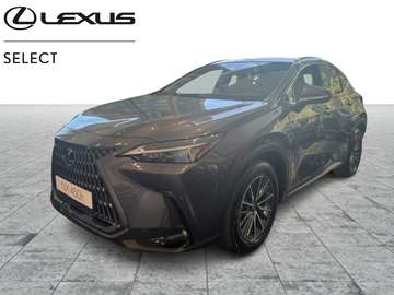 Executive Line