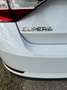 Skoda Superb Superb 2,0 TDI Ambition Ambition Weiß - thumbnail 17