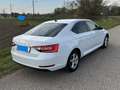 Skoda Superb Superb 2,0 TDI Ambition Ambition Weiß - thumbnail 13