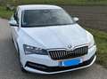 Skoda Superb Superb 2,0 TDI Ambition Ambition Weiß - thumbnail 6