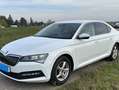 Skoda Superb Superb 2,0 TDI Ambition Ambition Weiß - thumbnail 8