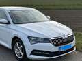 Skoda Superb Superb 2,0 TDI Ambition Ambition Weiß - thumbnail 4