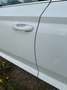 Skoda Superb Superb 2,0 TDI Ambition Ambition Weiß - thumbnail 10
