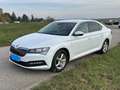 Skoda Superb Superb 2,0 TDI Ambition Ambition Weiß - thumbnail 7