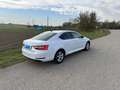 Skoda Superb Superb 2,0 TDI Ambition Ambition Weiß - thumbnail 14