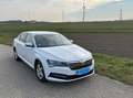 Skoda Superb Superb 2,0 TDI Ambition Ambition Weiß - thumbnail 5