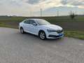 Skoda Superb Superb 2,0 TDI Ambition Ambition Weiß - thumbnail 3