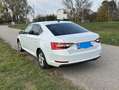 Skoda Superb Superb 2,0 TDI Ambition Ambition Weiß - thumbnail 16