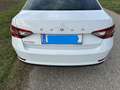 Skoda Superb Superb 2,0 TDI Ambition Ambition Weiß - thumbnail 18