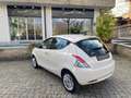 Lancia Ypsilon Ypsilon 1.2 69 Cv Beige - thumbnail 4