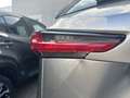 Lexus NX 300 NX Hybrid Business     IVA ESPOSTA COMPRESA - thumbnail 6