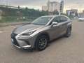 Lexus NX 300 NX Hybrid Business     IVA ESPOSTA COMPRESA - thumbnail 1