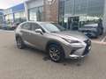 Lexus NX 300 NX Hybrid Business     IVA ESPOSTA COMPRESA - thumbnail 5