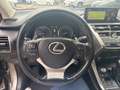 Lexus NX 300 NX Hybrid Business     IVA ESPOSTA COMPRESA - thumbnail 14