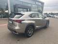 Lexus NX 300 NX Hybrid Business     IVA ESPOSTA COMPRESA - thumbnail 4