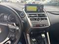 Lexus NX 300 NX Hybrid Business     IVA ESPOSTA COMPRESA - thumbnail 12