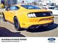 Ford Mustang GT Fastback 5.0 V8 MagneRide Premium Paket 2 Orange - thumbnail 4