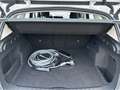 BMW iX1 xDrive30 DAB Parkassistent Shz Weiß - thumbnail 16