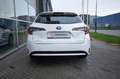 Toyota Corolla Touring 1.8 Hybrid Business |Apple Carplay| Navi | Blanc - thumbnail 13