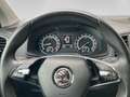 Skoda Karoq Ambition 125 TDI DSG Grau - thumbnail 16