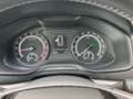 Skoda Karoq Ambition 125 TDI DSG Grau - thumbnail 17