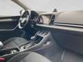 Skoda Karoq Ambition 125 TDI DSG Grau - thumbnail 21
