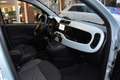 Fiat Panda 1.0 Hybrid City Cross Groen - thumbnail 18