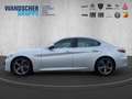 Alfa Romeo Giulia 2.2 JTDM Super *AHK*Winterpaket*Navi* Silber - thumbnail 3