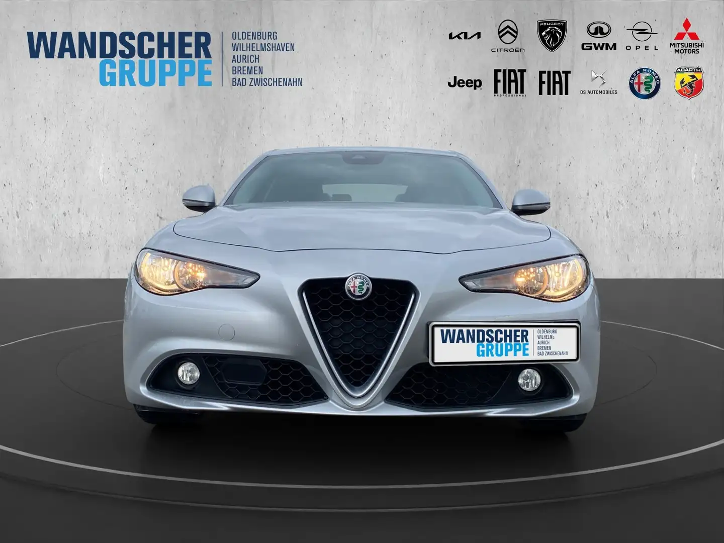 Alfa Romeo Giulia 2.2 JTDM Super *AHK*Winterpaket*Navi* Silber - 2