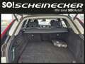 Volvo XC60 T6 AWD PHEV Plus Dark Aut. Weiß - thumbnail 7