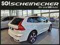 Volvo XC60 T6 AWD PHEV Plus Dark Aut. Blanc - thumbnail 4