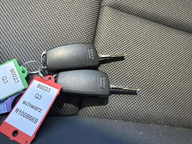 Audi Q3 view 15