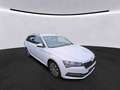 Skoda Superb Combi 2.0 TDI DSG STYLE +AHK +STHZ +LED +ACC +RKA Weiß - thumbnail 4