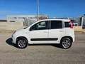 Fiat Panda 1.3 MJT 4x4 Pop Van 2 posti Bianco - thumbnail 10