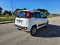 Fiat Panda 1.3 MJT 4x4 Pop Van 2 posti Bianco - thumbnail 5