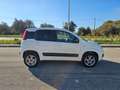 Fiat Panda 1.3 MJT 4x4 Pop Van 2 posti Bianco - thumbnail 4