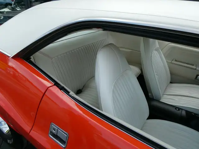 Dodge Challenger view 15
