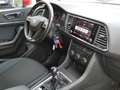 SEAT Ateca 1.6TDI CR S&S Ecomotive Style Rouge - thumbnail 11