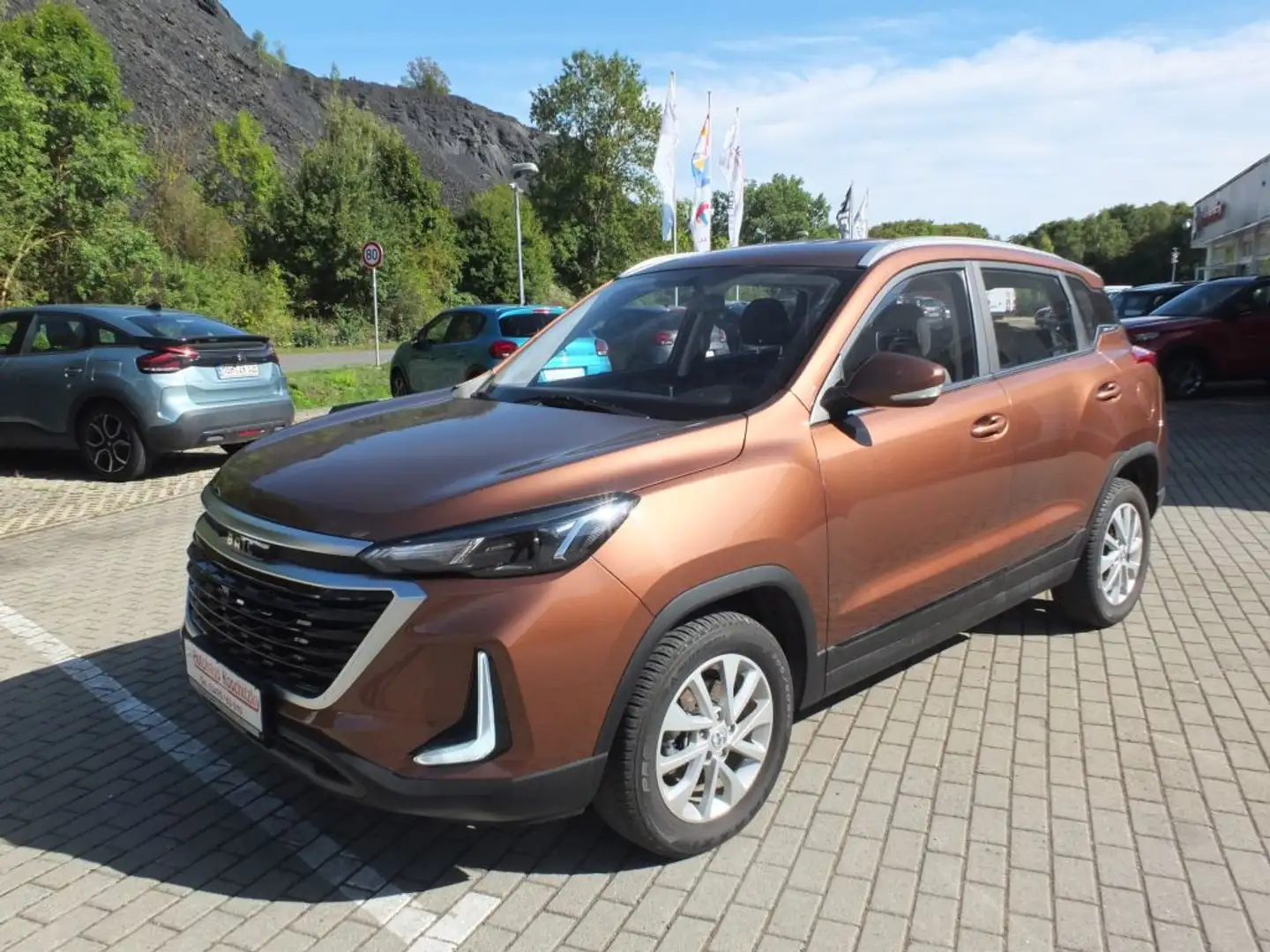BAIC Sonstige Beijing X35 Braun - 2