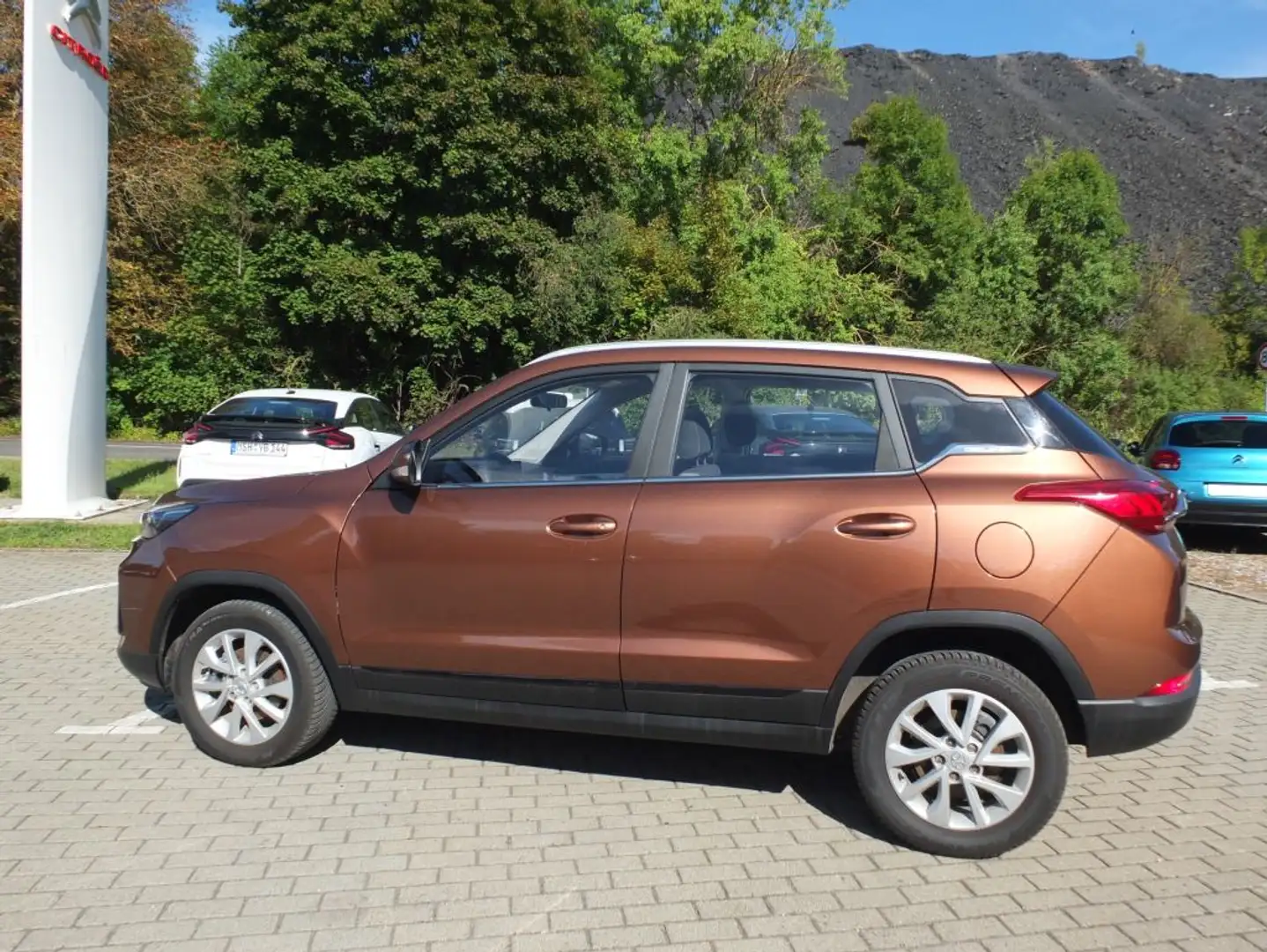 BAIC Sonstige Beijing X35 Braun - 1
