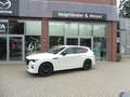 Mazda CX-60 Homura Premium-, Driver-, Convenience- u. Alb - thumbnail 1