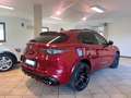 Alfa Romeo Stelvio 2.9 Bi-Turbo V6 510 CV AT8 Q4 Quadrifoglio Rosso - thumbnail 6